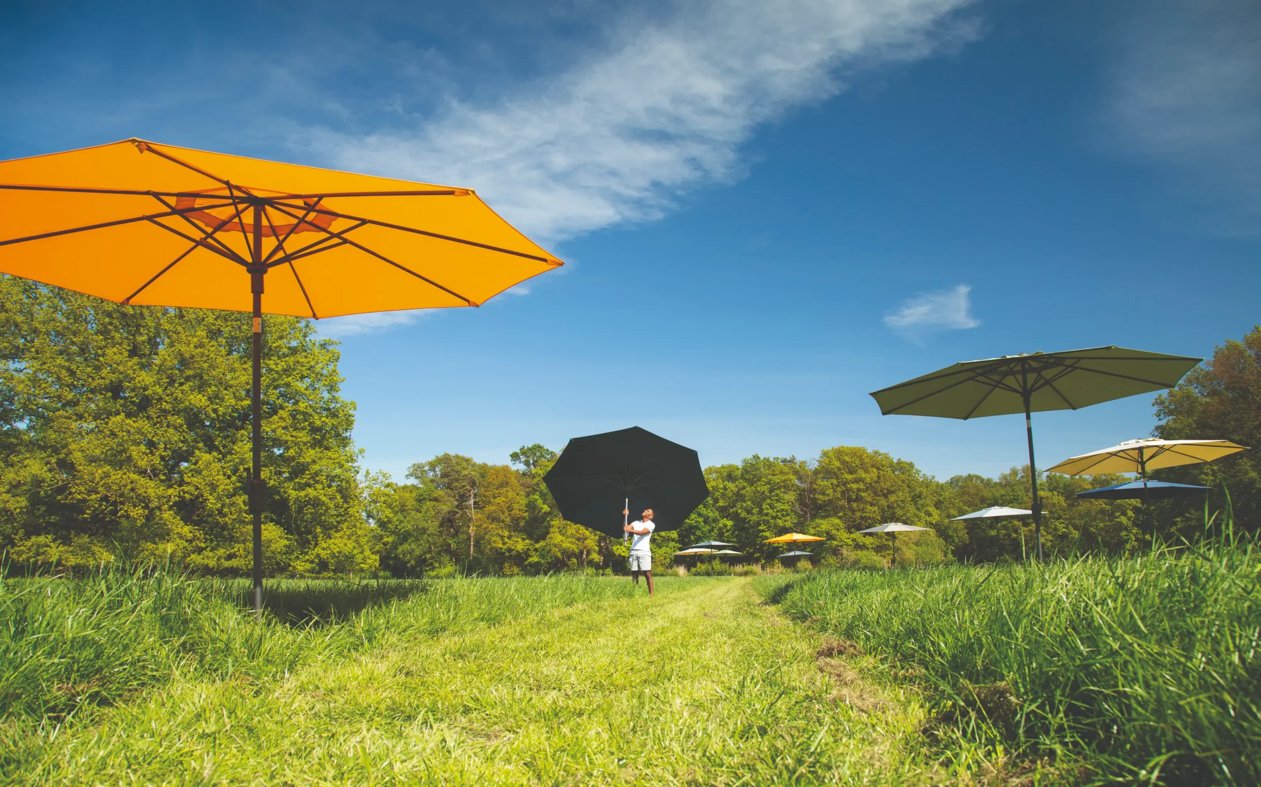The garden as an extension of your home