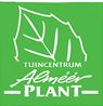 Almeer Plant